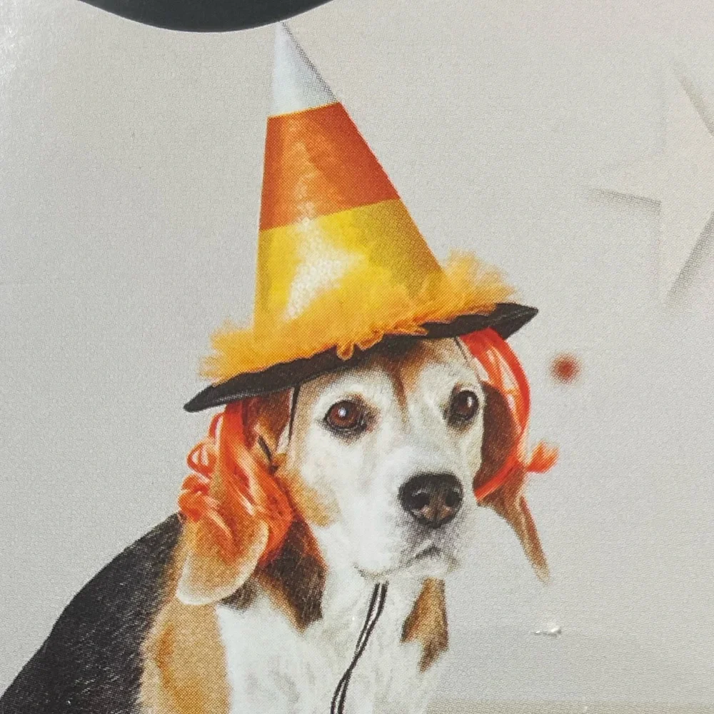 Witches Halloween dog/cat hat clothing costume
